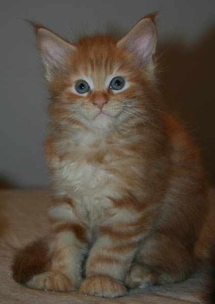 7 WEEKS